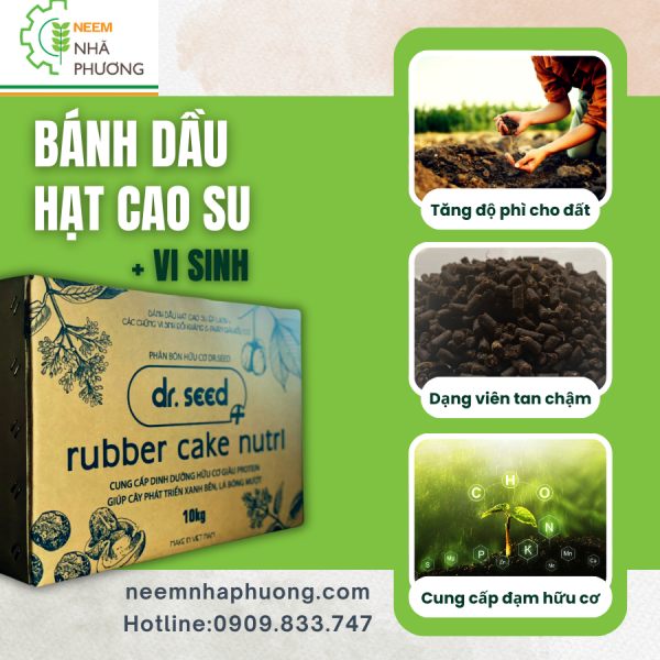 phan-huu-co-banh-dau-hat-cao-su-vi-sinh