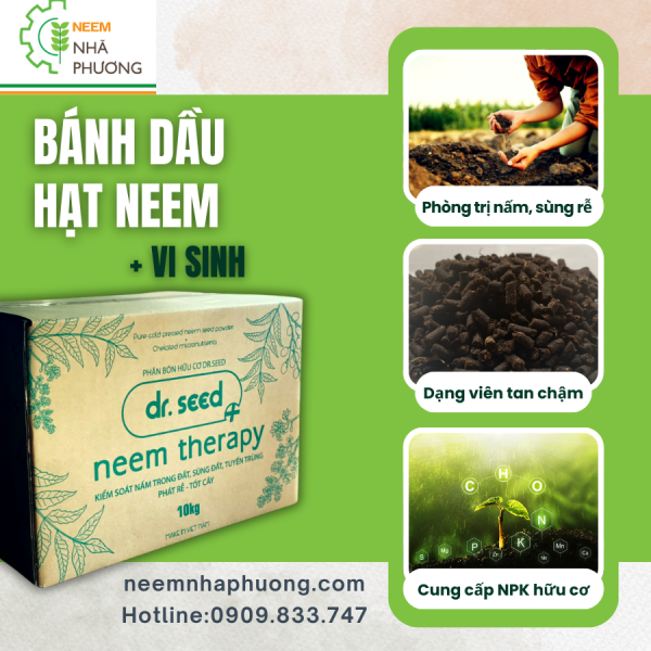 phan-huu-co-banh-dau-hat-neem-vi-sinh