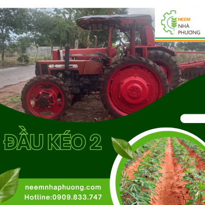 dau-keo-2-neem-nha-phuong