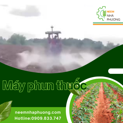 dau-keo-neem-nha-phuong