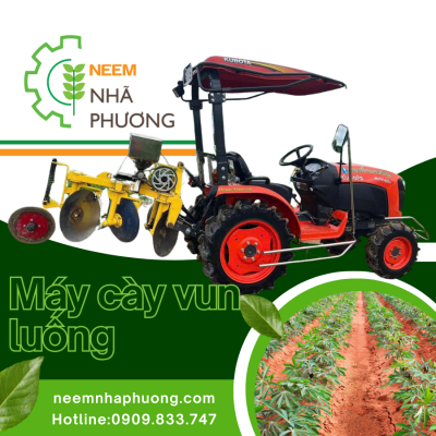 dau-keo-neem-nha-phuong